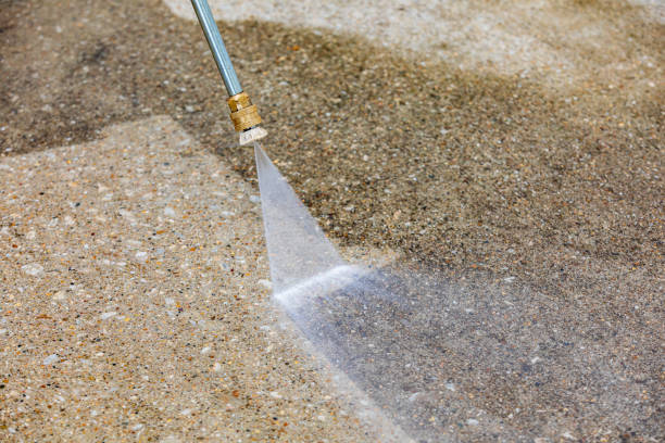 Animal Enclosure Cleaning in Port Washington, NY